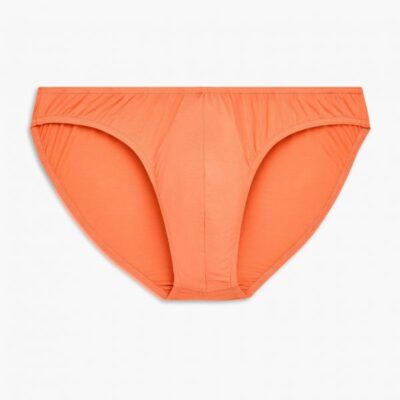 2(X)IST Opening Sales Modal Hip Bikini Brief