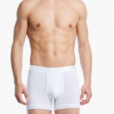 2(X)IST Sale Online Pima Cotton Boxer Brief